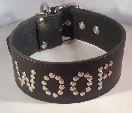 Leather "Woof" Collar (50mm wide)